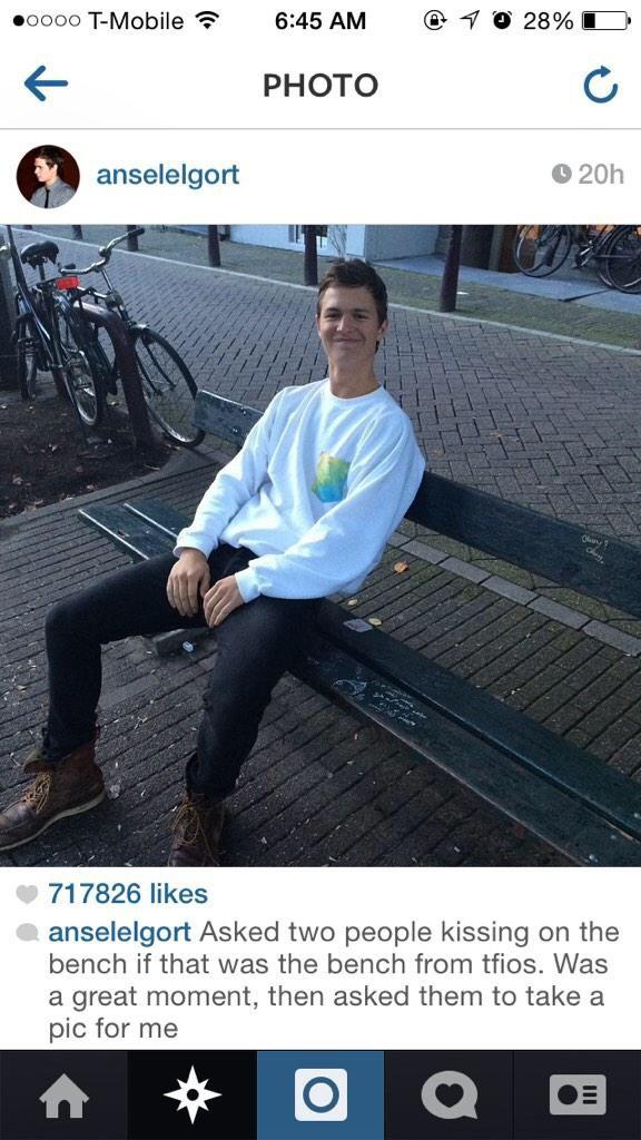 steffi_ht's tweet photo. “@itsmovies: ANSEL WENT TO AMSTERDAM AND FOUND "THE BENCH" http://t.co/Xjj2XMnYBy” @iamDavid_9
