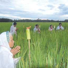 SouleFacts's tweet image. Today is Kati Bihu in Assam, worship, pray &amp;amp; welcome Goddess Lakshmi, by lighting earthen oil lamps in d rice fields.