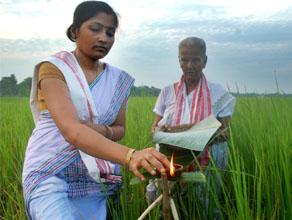 SouleFacts's tweet image. Today is Kati Bihu in Assam, worship, pray &amp;amp; welcome Goddess Lakshmi, by lighting earthen oil lamps in d rice fields.