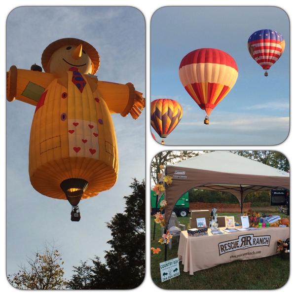 RescueRanchNC's tweet photo. Come see us at @CarolinaBalloon today! #RRCommunity http://t.co/U3NWfW2bHC