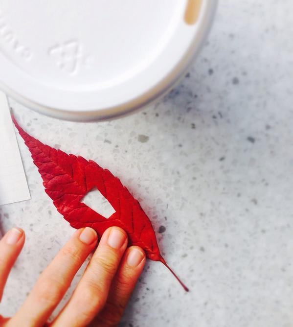 “<a href="/Starbucks/">Starbucks</a>: 🍂☕🍂 #psl ” @ClaireBeazy