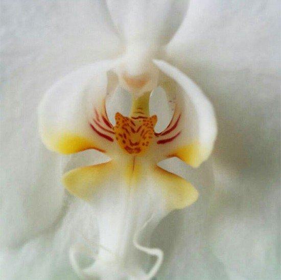 JSAR75 tweet picture