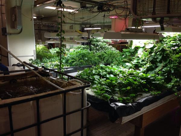 matthewklara's tweet photo. #OHC2014 (@ The @PlantChicago in Chicago, IL) https://t.co/iw3clGzu2a http://t.co/sXuzTNlRRt