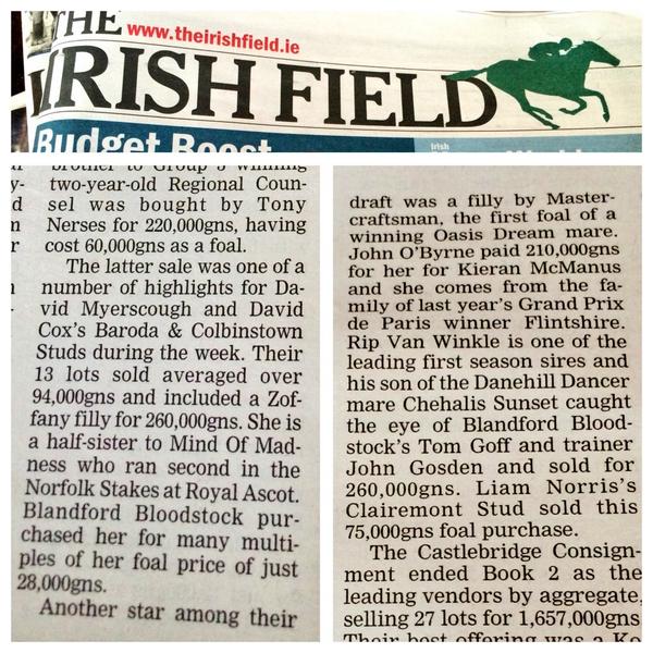BarodaStudIre's tweet photo. Nice write up of our #OctBook2 sales in @Tattersalls1766 in today's @TheIrishField #Zoffany #Mastercraftsman http://t.co/GaxBeZvx1f