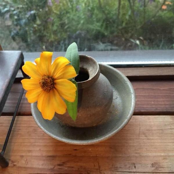 forhunhan_th's tweet photo. 141018 SEHUN's IG UPDATE : 🌻 / พ่อคนรักธรรมชาติ555555555  http://t.co/fjfqetly79