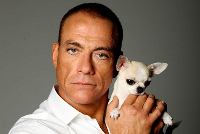 Happy Birthday the legendary...Jean-Claude Van Damme!!! (18 October 1960) 