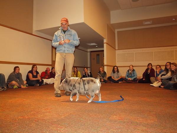 Inst4HumAnimal's tweet image. Students in the #AASW program @UofDenver learn from Prof Tedeschi and connect with Blue! #humananimalconnection