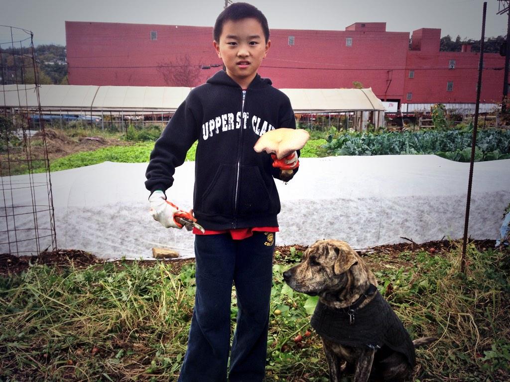 Embedded image permalink