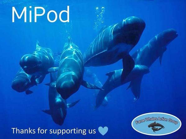 IrisKoch5's tweet photo. Thanks 4 joining us &amp; helping to raise awareness of the slaughter of Whales in Faroe http://t.co/LG7dWkRG6L #SaveFaroeWhales #GrindStop