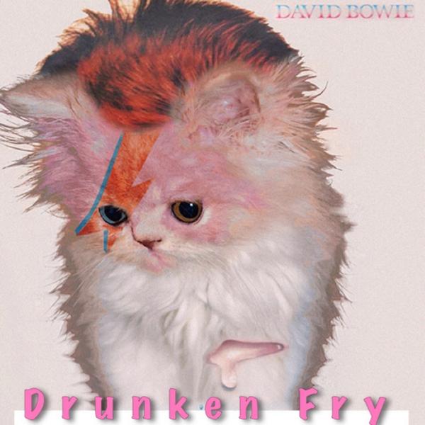 DrunkenFry's tweet photo. Happy Caturday ! See everybody at 4! Drinky drank drank time! @DrunkenFry #frylo http://t.co/UqI3sCjBcN