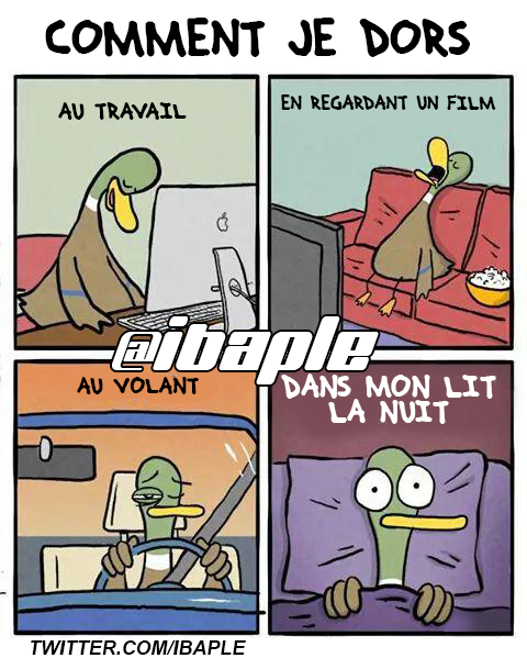 ibaple tweet picture