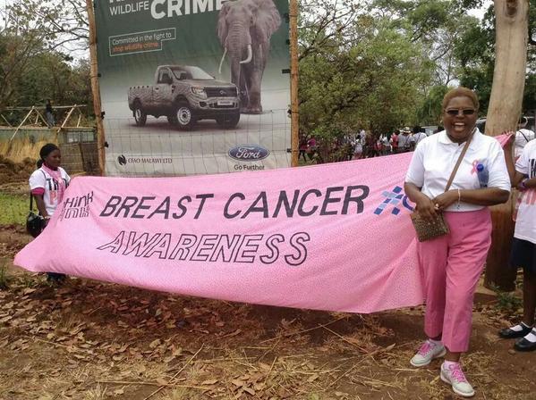 Timveni_Online's tweet photo. Breast Cancer Awareness Walk Recap in Pictures with #TimveniTV's @Judee63 .. #Yonsebho http://t.co/NMMOT4qJPw