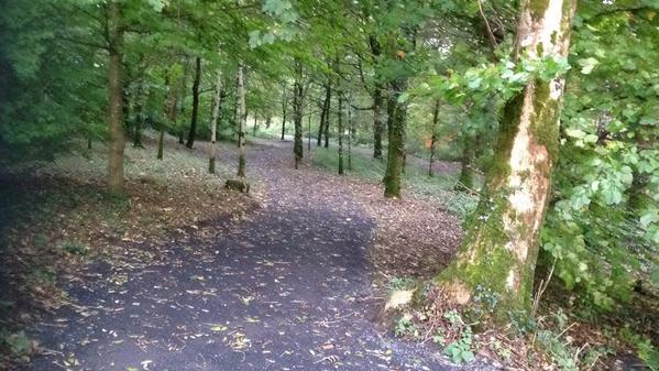 ekn_parkrun's tweet photo. Another wonderful morning in the beautiful Castle Coole. 107 parkrunners took part in perfect conditions

#parkrun http://t.co/1hy2FESqmu