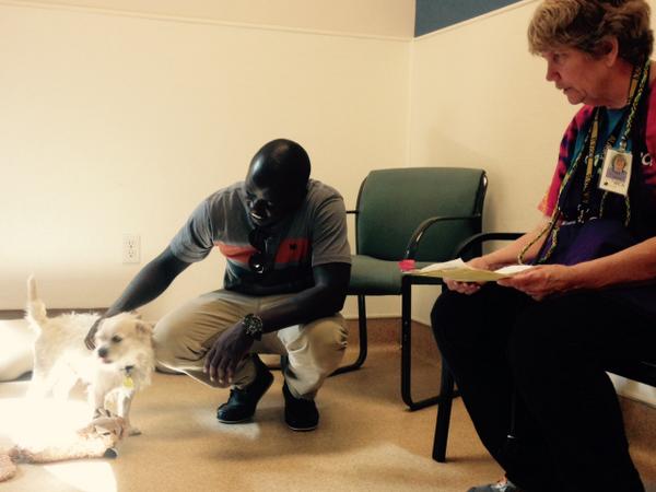 SacramentoSPCA's tweet photo. The moment Tom and Coco met. Now, they're headed home. #EmptySacShelters #spca #sacramento #ASPCAMegaMatch http://t.co/wmUmmuiNX2