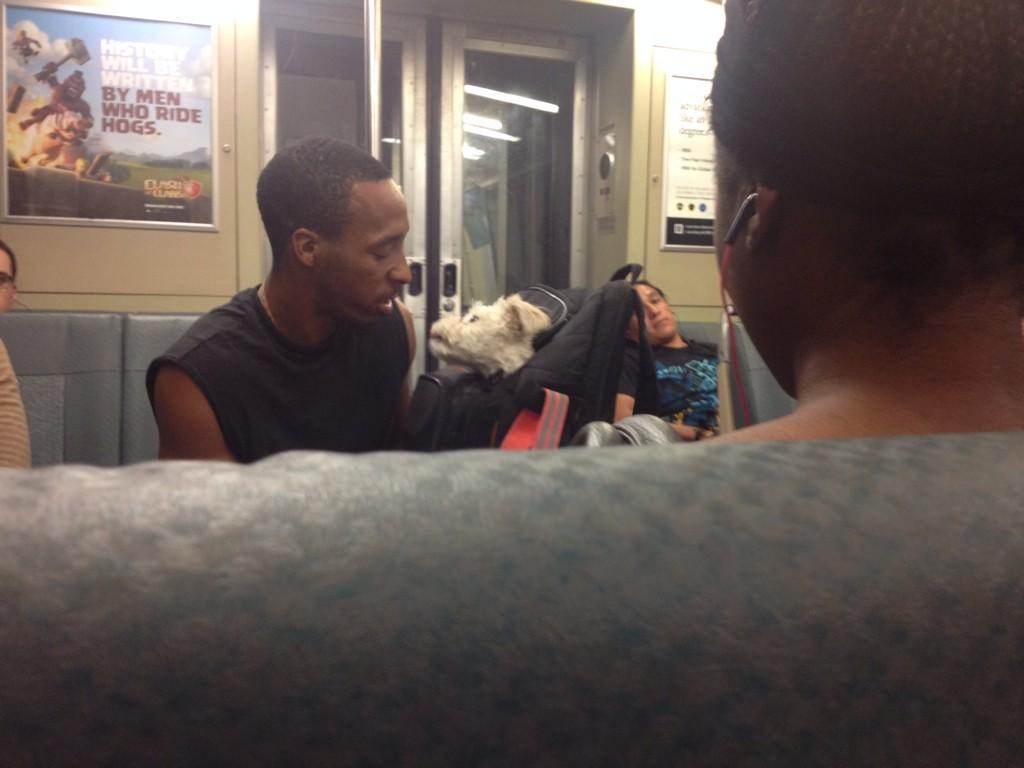 Embedded image permalink