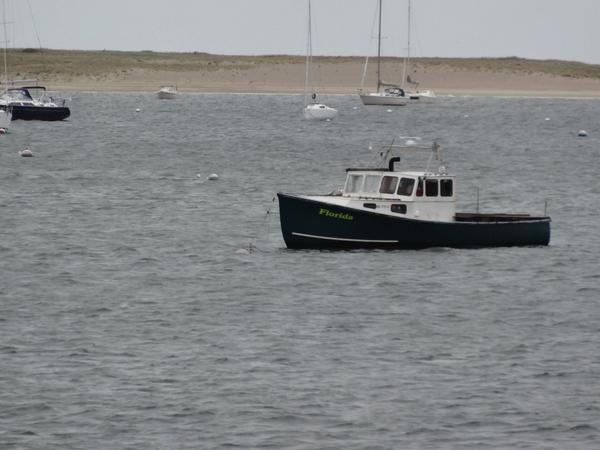 LightHarbor's tweet image. Such a joy to show properties in this beautiful weather today! #loveACK