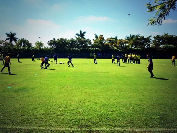 Sarah Manson tweet media