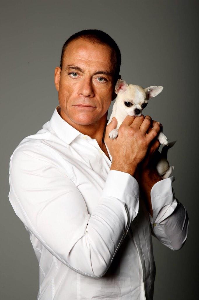 Happy Birthday Jean-Claude Van Damme! A vintage action hero. Still looking dapper. 