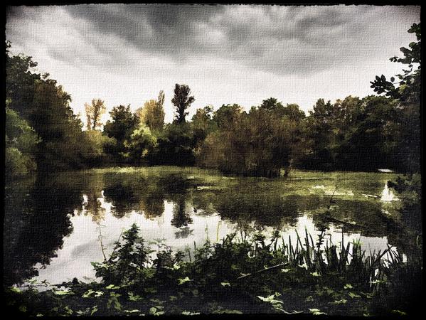 milomusing's tweet image. Went to the Sevenoaks Wildlife Reserve today. Well worth a visit