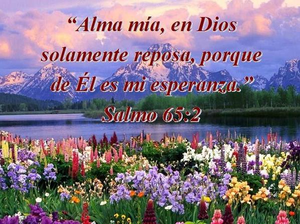 yomacrist's tweet photo. descansa en el señor amigos @carlosvives @FredFigglehorn @juanes por que Dios nos regalo un #SabadoPaDescansar http://t.co/uBGKlxmdTv