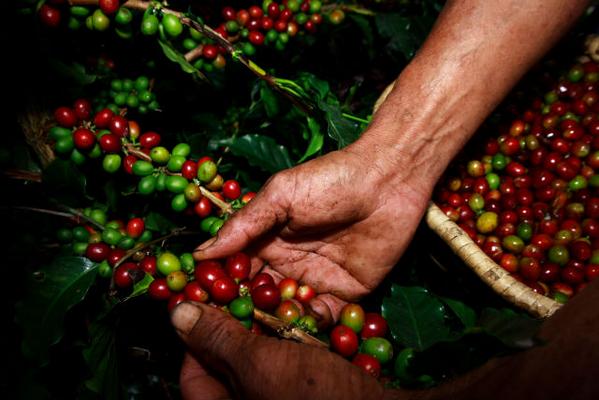 wesleypico1's tweet photo. #FelizSabadoColombiaQuerida @subecielo7 @JuanManSantos @Fzuletalleras @yotambienire @josetvr23 @stevson4 http://t.co/KublWw37VW