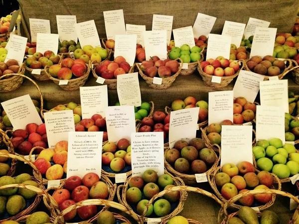 PERRYCOURT_FARM's tweet photo. Day one done... Thank you so much for all your support so far! We hope to see many more of you tomorrow! #applefayre http://t.co/pWJjV5frse