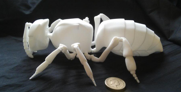 Embedded image permalink