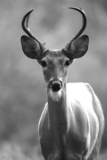 @jekkmusic Would luv to talk about Deer Art show i'm doing and using some of ur music for a vid thx @THEKELLIMCCARTY<a class="tags" target="_blank" title="On Twitter" href="/?out=eyJ0eXAiOiJKV1QiLCJhbGciOiJIUzUxMiJ9.eyJpYXQiOjE3MjQ3OTYxMjIsImlzcyI6InR3cG9ybnN0YXJzLmNvbSIsIm5iZiI6MTcyNDc5NjEyMiwiZXhwIjoxNzU2MzMyMTIyLCJyZWRpcmVjdF91cmwiOiJodHRwczovL3R3aXR0ZXIuY29tL2pla2ttdXNpYyJ9.6iCRrpfNtXGNJyMnIu2EEFF2Xy6gtJIhwj5PYhzgblHyH426TlyJrljmaFwBxfB-bgzhP-p8sCnLq6U0_TUpJw">@jekkmusic</a><a href="/tag/pancake"class="tags"><span>#pancake</span></a>