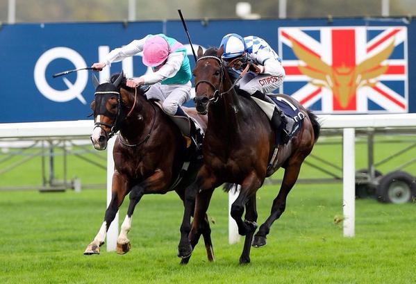 Brilliant afternoon at Ascot ! #ChampionsDay