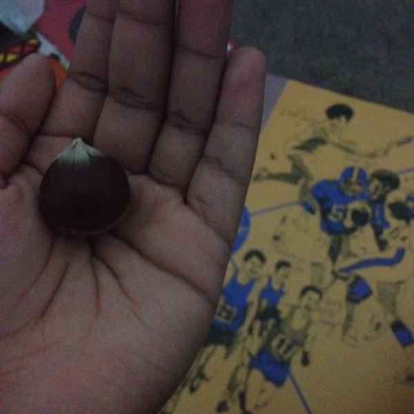 lickmyvibe's tweet image. Forgot I had a hazelnut in my room.🌰 #cool #nofilter #peechee #finallycleaningmyroom #sorta