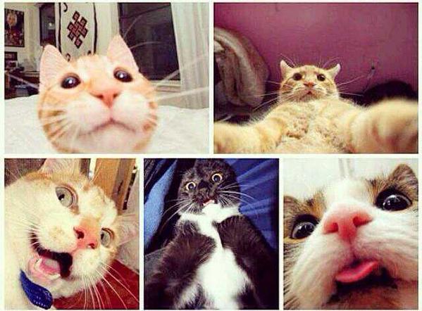 leo23077's tweet photo. Yo y mis selfies jajaja http://t.co/A1M220jNDi