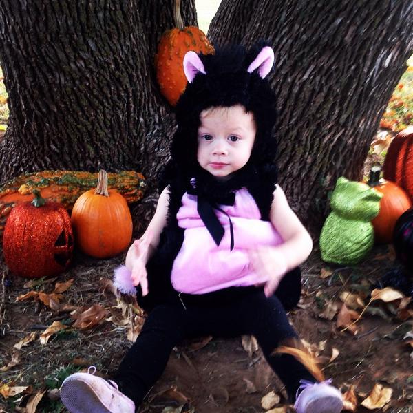 KatelynSonday's tweet photo. Cute little grumpy cat haha http://t.co/98zGeZRThK