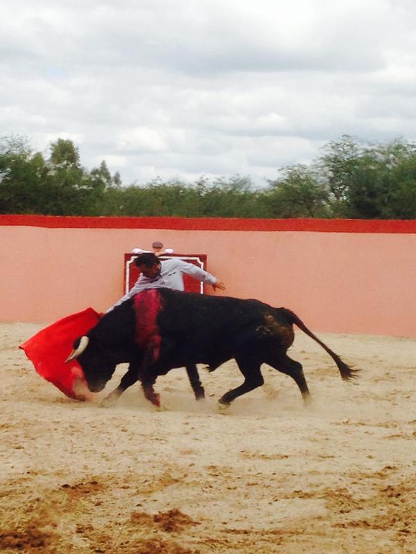 matadorzotoluco's tweet photo. Creando afición cn los niños y apoyando a los triunfadores d descubriendo un torero en sta María de xalpa!! http://t.co/BSu3I0qYep