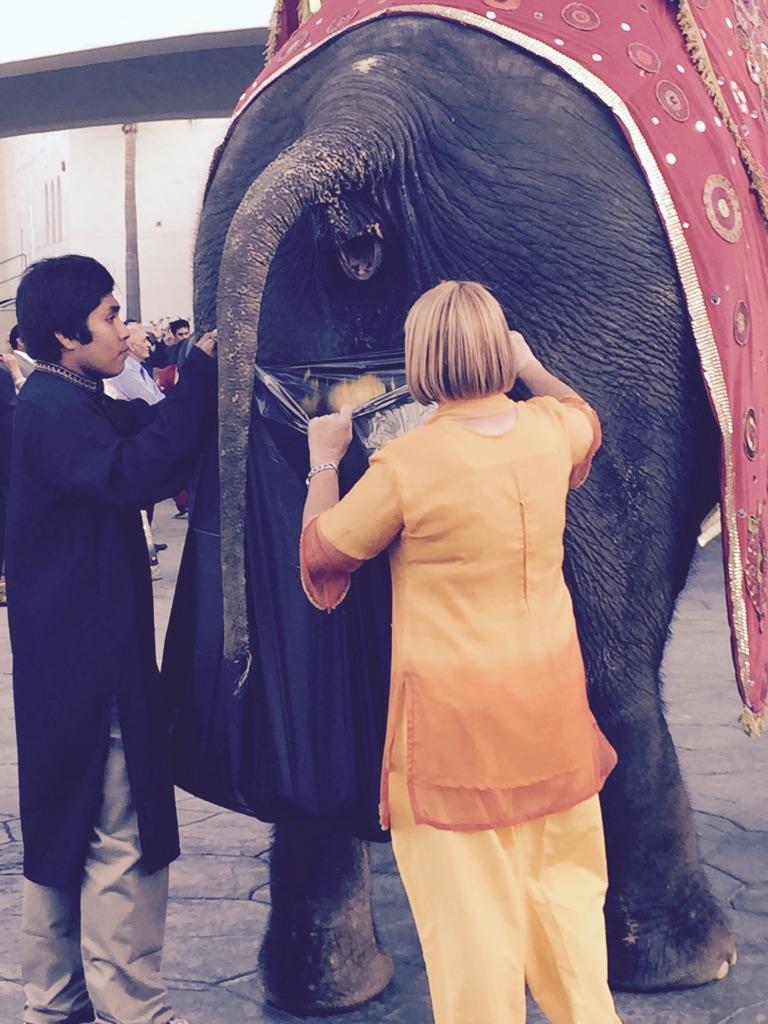 Embedded image permalink