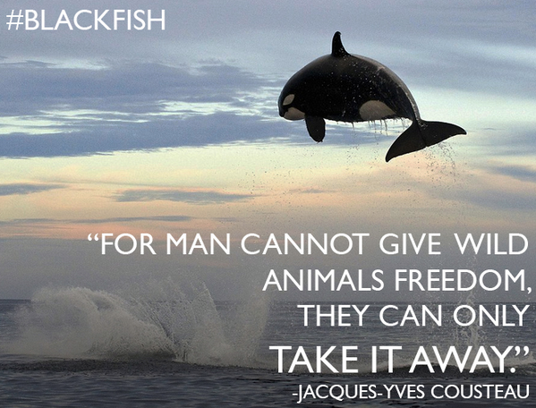 Len_Varley's tweet photo. Freedom is a Blue ocean #VoicesFromTheBlue #FreedomBlue #Blackfish #EmptyTheTanks http://t.co/xAbjgdkjbR