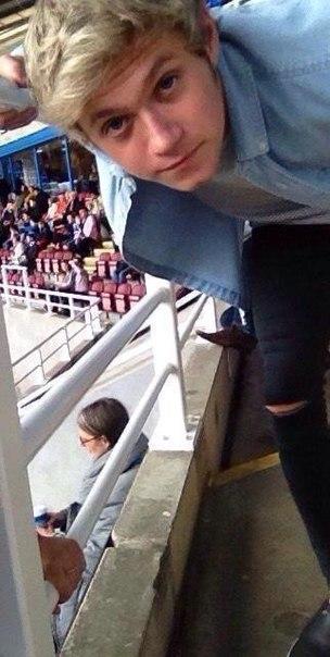 1DSPNews's tweet photo. Niall en el partido de Reading vs Derby el día de hoy - 18.10.2014 http://t.co/B5mJTbfEue
