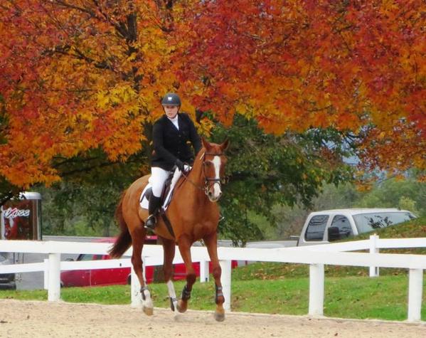 JenRoytz's tweet photo. I love Autumn colors, #OTTBs and crisp fall days. #MSEDA @KyHorsePark #3DE http://t.co/aXRCBPl1uX