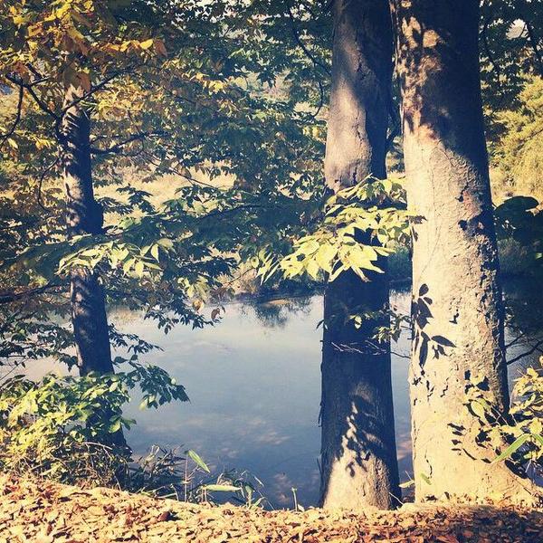 suzyinstagram's tweet photo. [INSTAGRAM] skuukzky: 오늘도
#workhard http://t.co/0tSD7MDEPK http://t.co/Dr59h2ZtPq