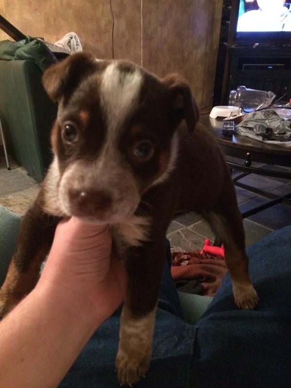 GWC92's tweet photo. Late night play session , not exactly what I wanted, but how can you say no..... http://t.co/3oOZ2Ng3V1