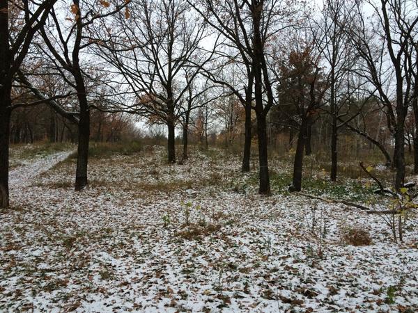 NastyaMaksakova's tweet image. Снеег *о*