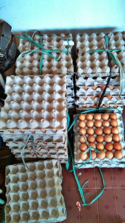 ArdianWN's tweet photo. Agen Telur Bu Sri - Jl. Cempedak 5 Perumahan Jatimulya Bekasi Timur http://t.co/PtZ0yWjQlV