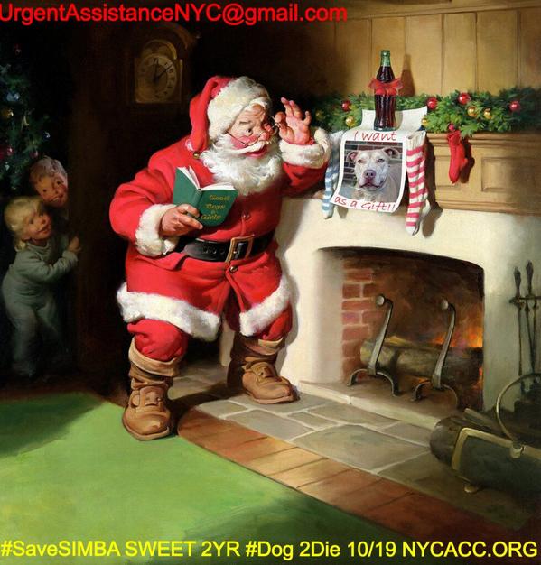 existenciala's tweet image. “@UrgentPart2: #SaveSIMBA 2YR Dog 2Die 10/19 @NYCACC #Adopt Online Foster 4 #Rescue $150 2NH
facebook.com/Urgentdeathrow…