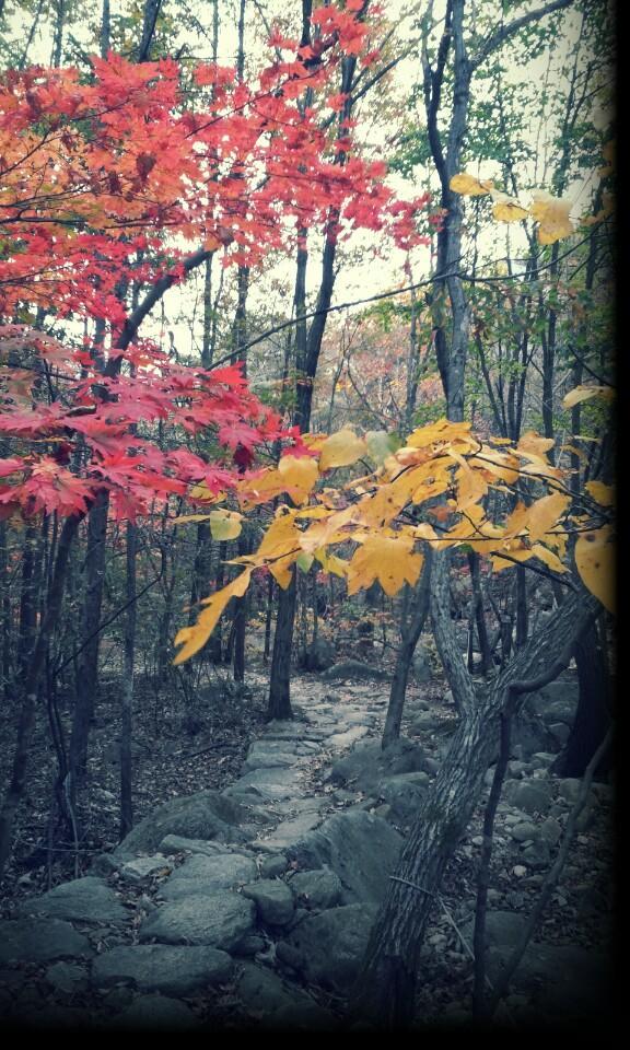 sun_min's tweet photo. 단풍구경~ http://t.co/eRptUPhAOH