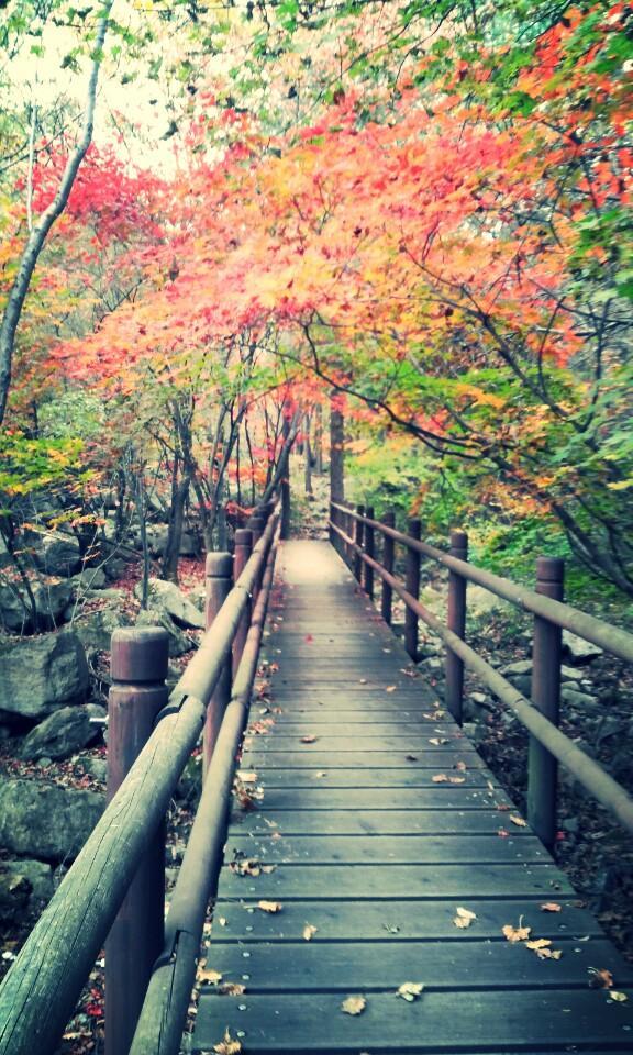 sun_min's tweet photo. 단풍구경~ http://t.co/eRptUPhAOH