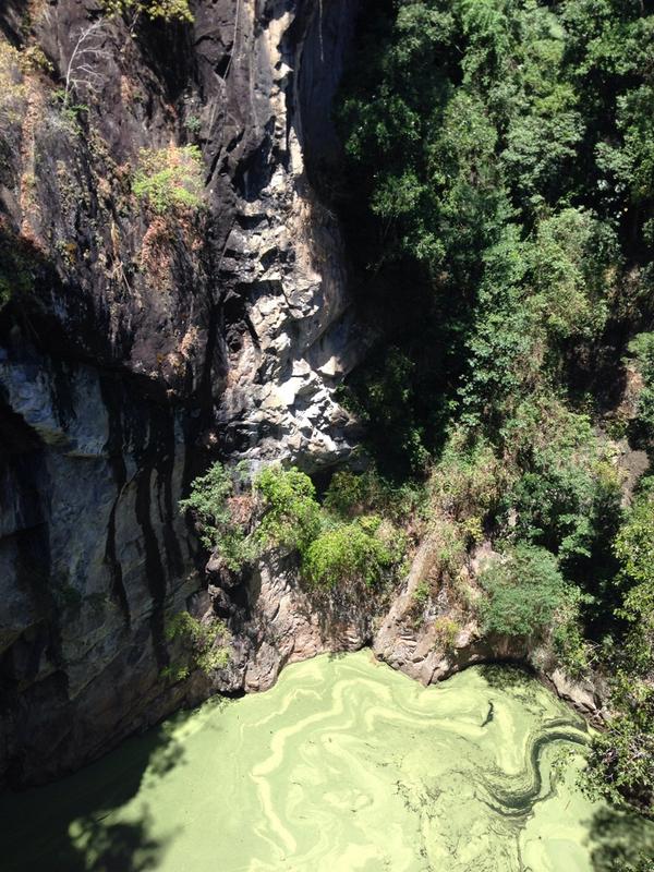 ashreeee_ann's tweet image. Road trippin #cannotcomplain #exploreNQ #NQ #tropicalNQ