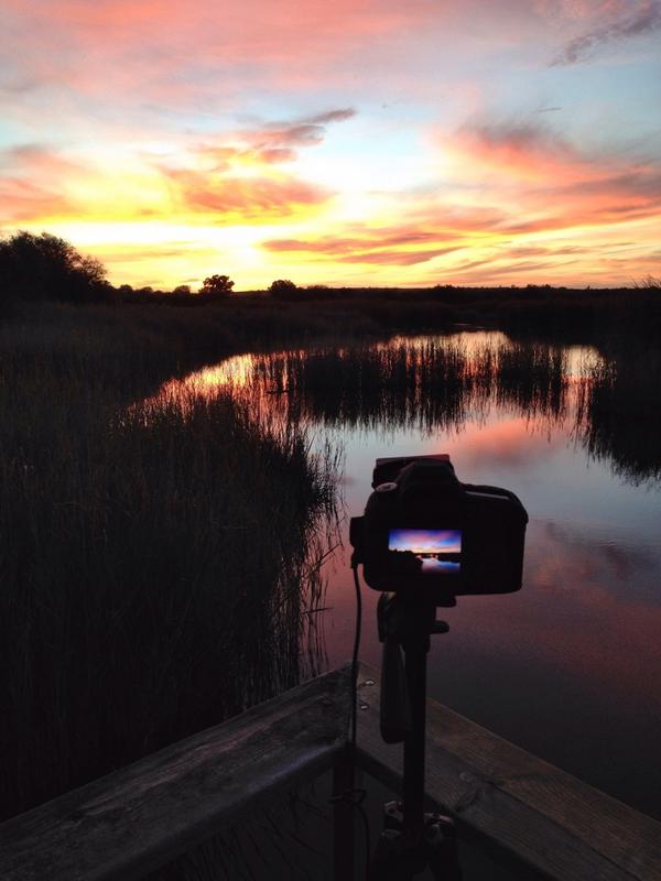 PhotoGSuS's tweet photo. Outstanding Sunrise in Tablas de Daimiel National Park @spain @destinosmancha @Tablasdaimiel #landscape #photography http://t.co/qVonO1Kczr