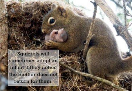 roomforkindness's tweet photo. *CUTENESS OVERLOAD* http://t.co/uAIP34MhaJ