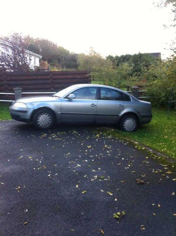 Like a glove <a href="/iamshane76/">Shane Markham</a> #smooth