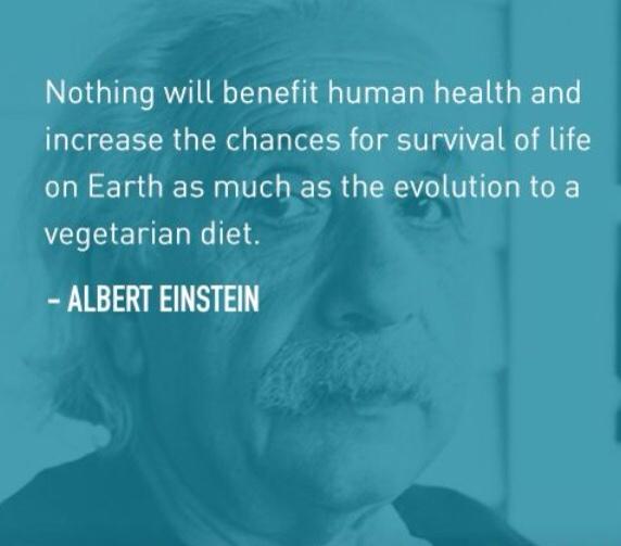 RawVeganQueen_'s tweet photo. Einstein was a clever man! 💚 #govegan   #livelonger #FoodIsMedicine #EatClean http://t.co/h3REXbh2YQ