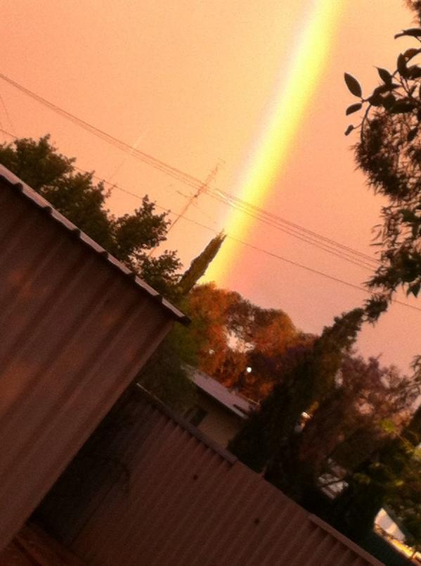 evaabdullah84's tweet image. 